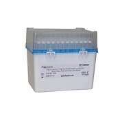 Pipet tip, rack